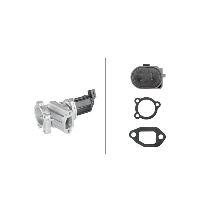 Vanne EGR HELLA 6NU 010 171-421