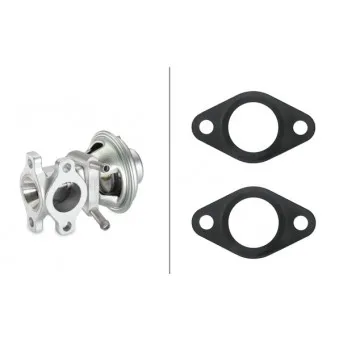 Vanne EGR HELLA 6NU 010 171-481