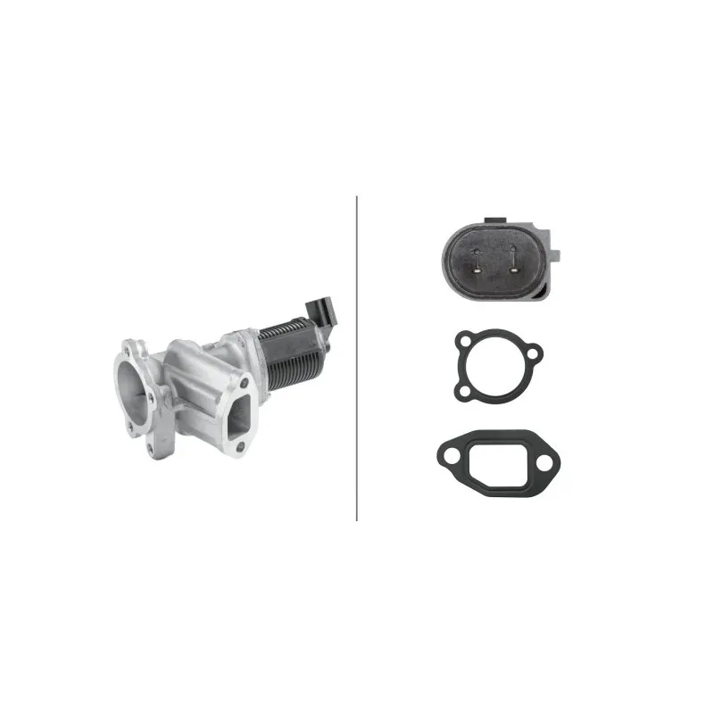 Vanne EGR HELLA 6NU 010 171-511