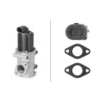 Vanne EGR HELLA 6NU 010 171-541