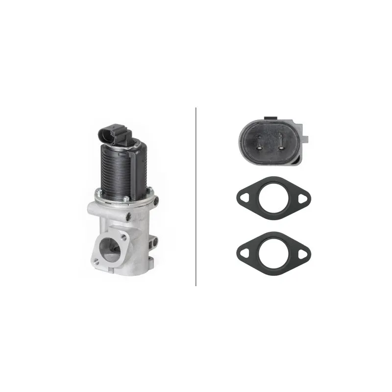 Vanne EGR HELLA 6NU 010 171-541