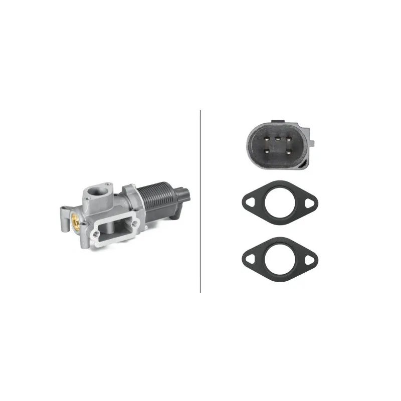 Vanne EGR HELLA 6NU 010 171-591