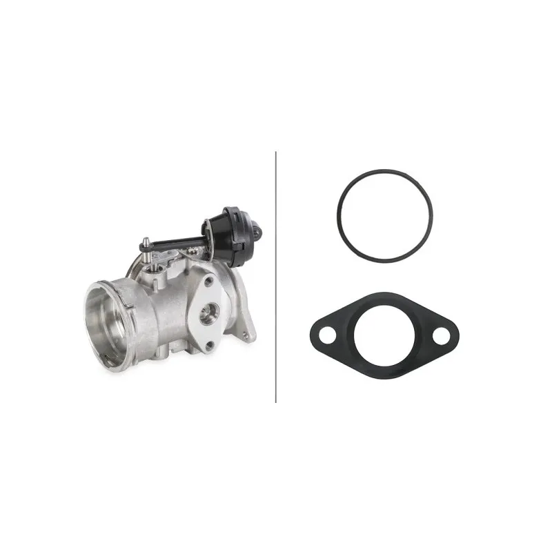 Vanne EGR HELLA 6NU 010 171-641