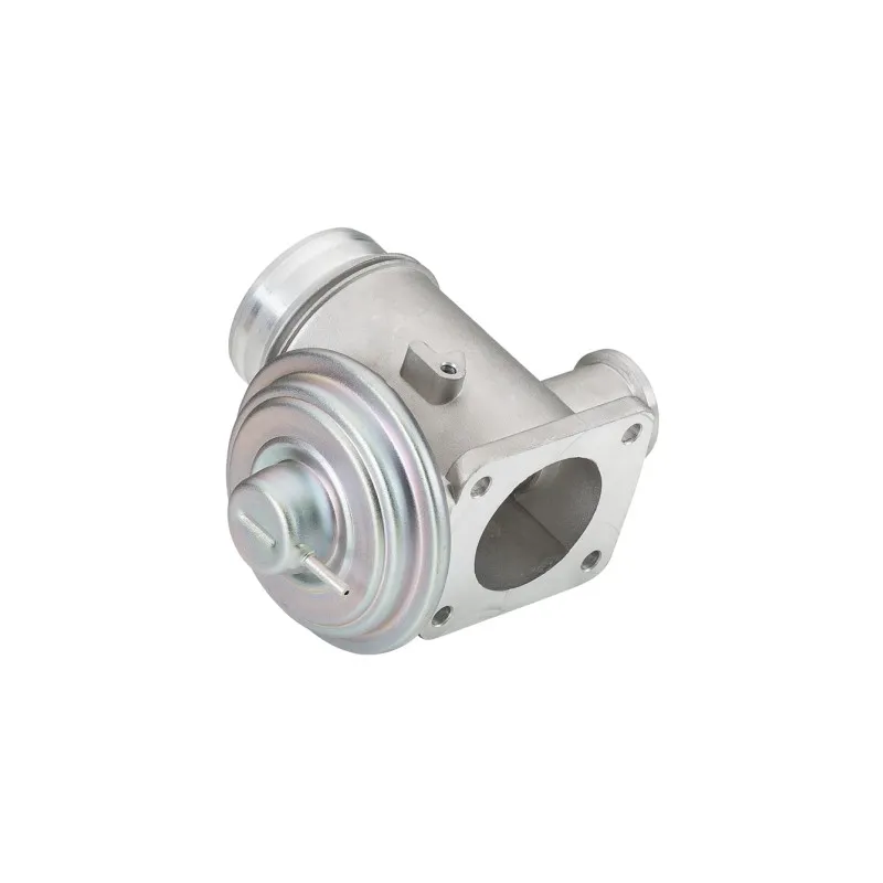Vanne EGR HELLA 6NU 010 171-691
