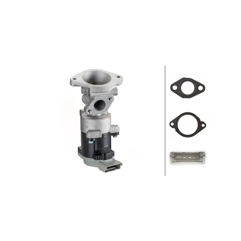 Vanne EGR HELLA 6NU 010 171-821