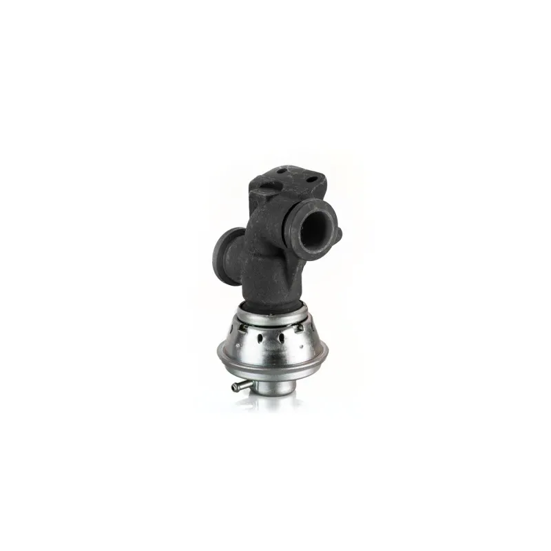 Vanne EGR HELLA 6NU 010 171-931