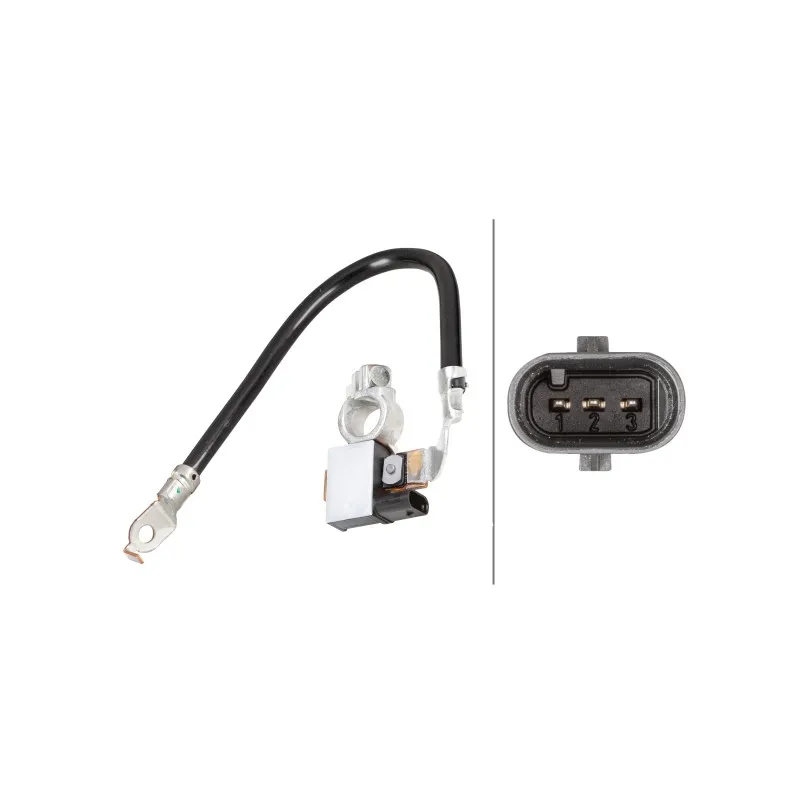 Capteur, Gestion des batteries HELLA 6PK 010 562-901