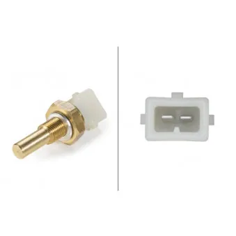 Sonde de température, liquide de refroidissement HELLA 6PT 009 107-561