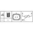 Sonde de température, liquide de refroidissement HELLA 6PT 009 309-431 - Visuel 3