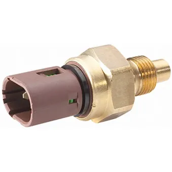 Sonde de température, liquide de refroidissement HELLA 6PT 009 309-481
