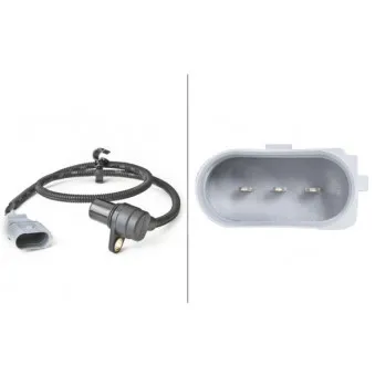 Capteur d'angle, vilebrequin HELLA 6PU 009 146-391
