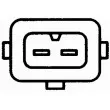 Capteur d'angle, vilebrequin HELLA 6PU 009 163-511 - Visuel 2