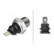 Indicateur de pression d'huile HELLA 6ZF 007 393-001 - Visuel 2