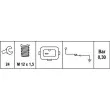 Indicateur de pression d'huile HELLA 6ZL 006 097-001 - Visuel 2