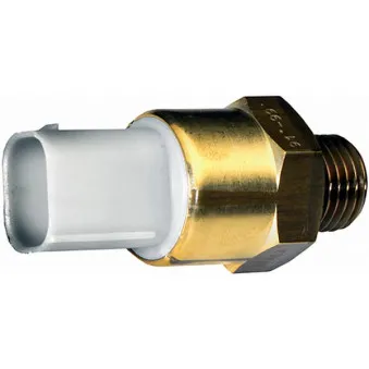 Interrupteur de température, ventilateur de radiateur HELLA 6ZT 007 800-121