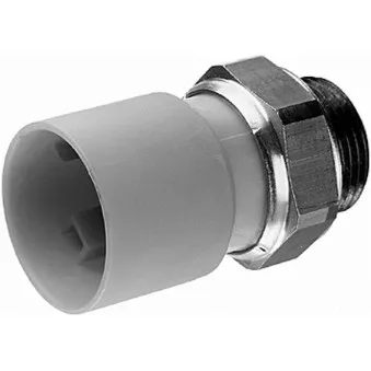Interrupteur de température, ventilateur de radiateur HELLA 6ZT 007 808-031