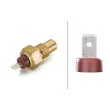 Contact thermique, voyant avertisseur de l'agent réfrigérant HELLA 6ZT 010 967-041 - Visuel 2