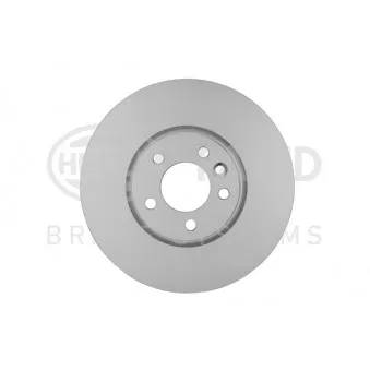 Jeu de 2 disques de frein avant HELLA 8DD 355 129-251