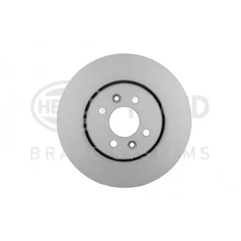 Jeu de 2 disques de frein avant HELLA 8DD 355 129-611