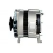 Alternateur HELLA 8EL 012 429-941 - Visuel 1
