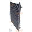 Condenseur, climatisation HELLA 8FC 351 343-211 - Visuel 2