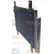 Condenseur, climatisation HELLA 8FC 351 343-784 - Visuel 2