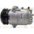 Compresseur, climatisation HELLA 8FK 351 002-271 - Visuel 1