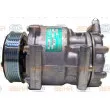 Compresseur, climatisation HELLA 8FK 351 002-321 - Visuel 1