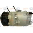 Compresseur, climatisation HELLA 8FK 351 002-751 - Visuel 1