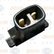 Compresseur, climatisation HELLA 8FK 351 002-791 - Visuel 2