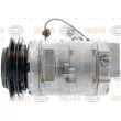 Compresseur, climatisation HELLA 8FK 351 006-371 - Visuel 1