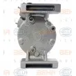 Compresseur, climatisation HELLA 8FK 351 010-081 - Visuel 1