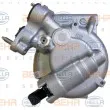 Compresseur, climatisation HELLA 8FK 351 106-271 - Visuel 3