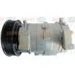 Compresseur, climatisation HELLA 8FK 351 106-901 - Visuel 1