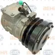 Compresseur, climatisation HELLA 8FK 351 108-951 - Visuel 3