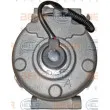 Compresseur, climatisation HELLA 8FK 351 109-001 - Visuel 3