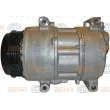 Compresseur, climatisation HELLA 8FK 351 110-751 - Visuel 1