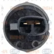 Compresseur, climatisation HELLA 8FK 351 114-281 - Visuel 3