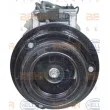 Compresseur, climatisation HELLA 8FK 351 125-181 - Visuel 2