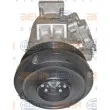 Compresseur, climatisation HELLA 8FK 351 125-651 - Visuel 2