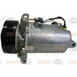 Compresseur, climatisation HELLA 8FK 351 131-161 - Visuel 1
