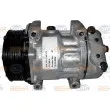 Compresseur, climatisation HELLA 8FK 351 134-321 - Visuel 1