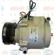 Compresseur, climatisation HELLA 8FK 351 134-671 - Visuel 1