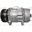 Compresseur, climatisation HELLA 8FK 351 134-871 - Visuel 1