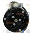 Compresseur, climatisation HELLA 8FK 351 135-511 - Visuel 2