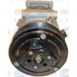 Compresseur, climatisation HELLA 8FK 351 135-561 - Visuel 2