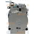 Compresseur, climatisation HELLA 8FK 351 273-141 - Visuel 3