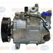 Compresseur, climatisation HELLA 8FK 351 316-351 - Visuel 1