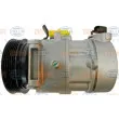 Compresseur, climatisation HELLA 8FK 351 316-631 - Visuel 1