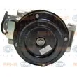 Compresseur, climatisation HELLA 8FK 351 334-471 - Visuel 2